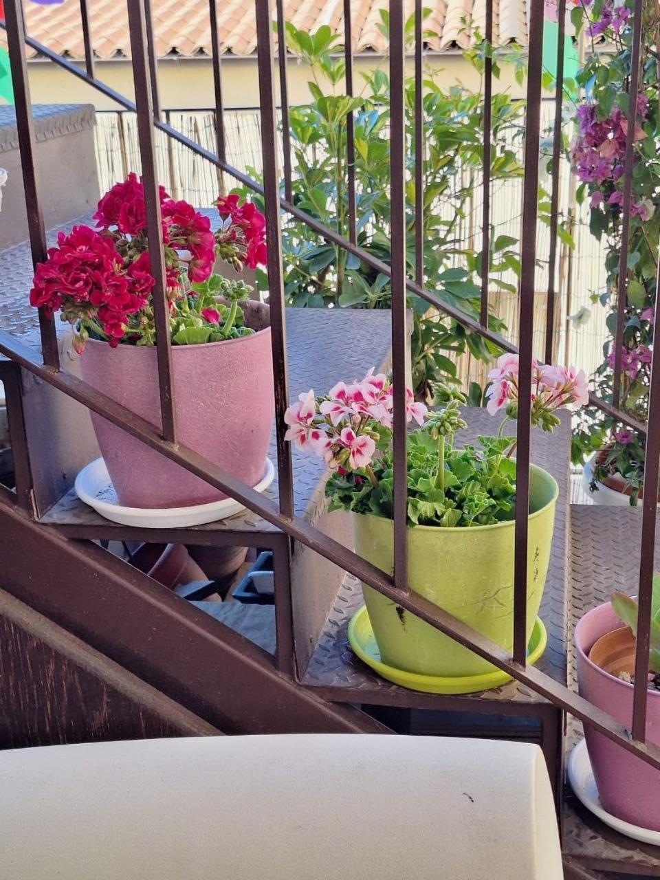 Sogni D'Oro Bed & Breakfast Agrigento Exterior photo
