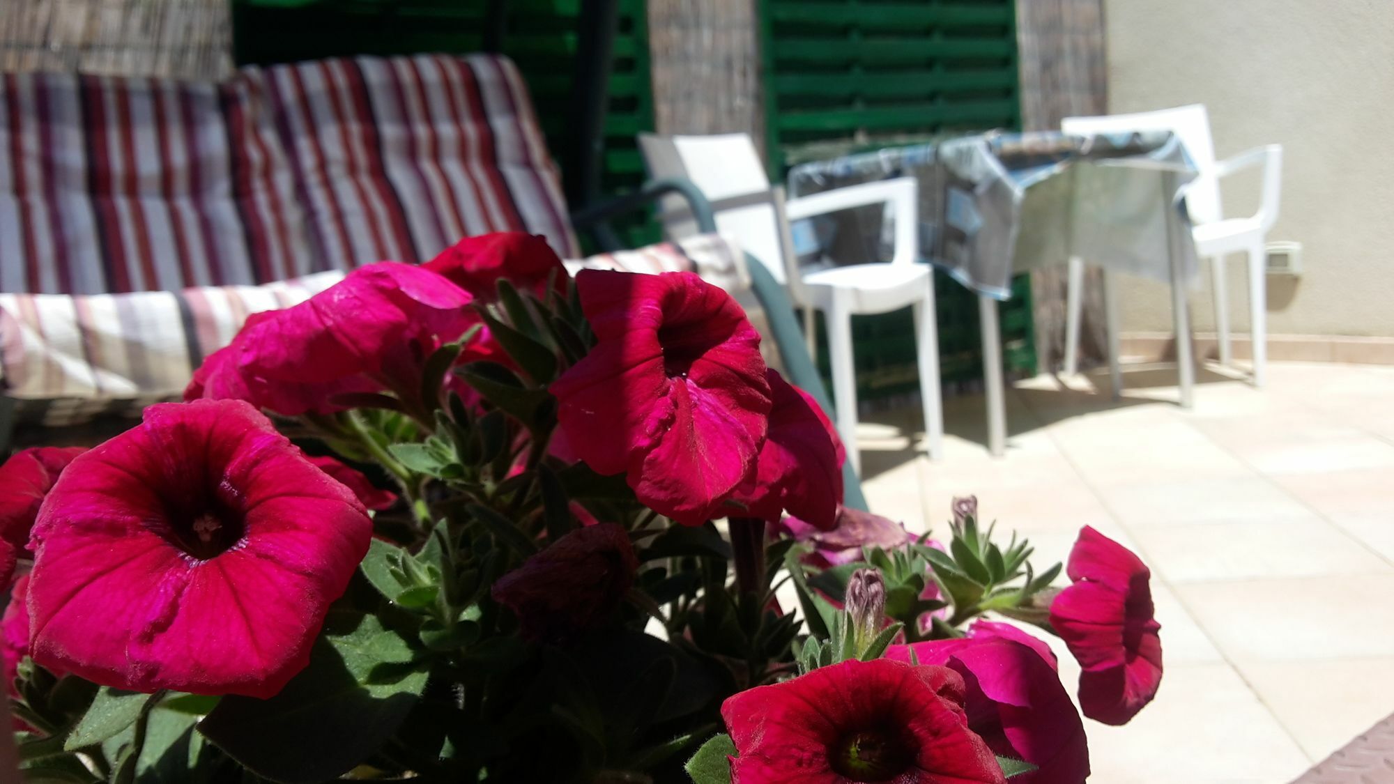 Sogni D'Oro Bed & Breakfast Agrigento Exterior photo